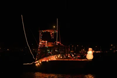 DSC_2524 (Large).JPG